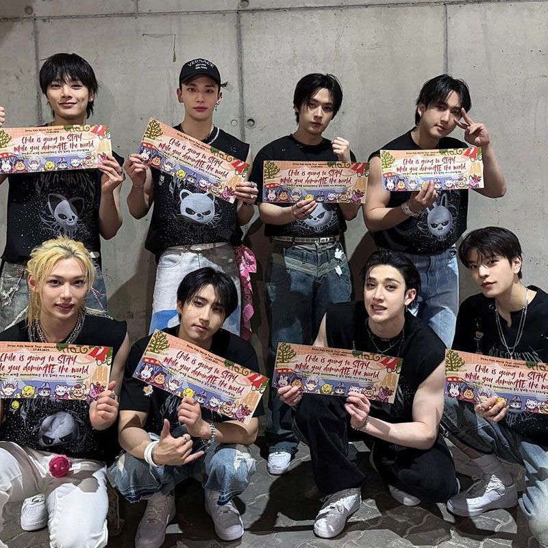 STRAY KIDS MERCH T-SHIRTS EVIL SKZOO 100% COTTON